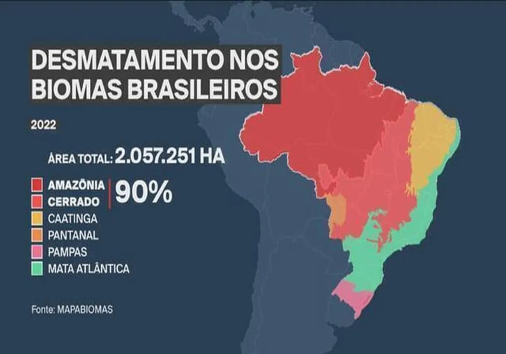 grafico do Brasil